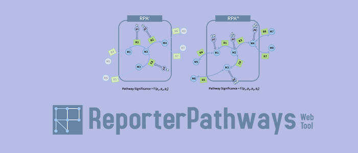 Reporter Pathways Analysis Web Tool (Graduation Project) Banner